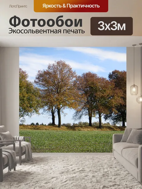 Фотообои Аллея осенью