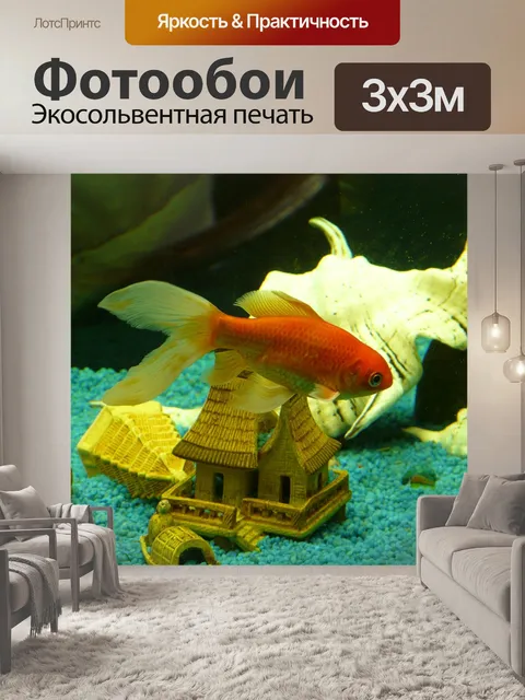 Фотообои Вуаль хвоста