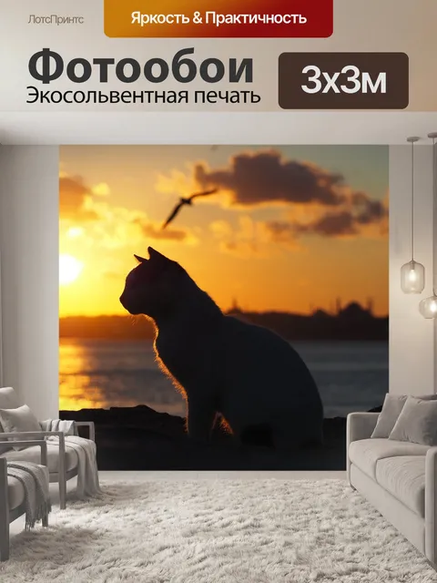 Фотообои Кошка