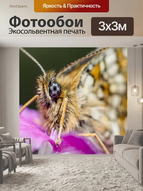 Фотообои Маленькая жемчужина-граничит рябчик