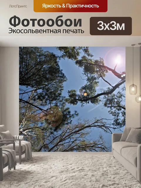 Фотообои Верхушки деревьев с блик
