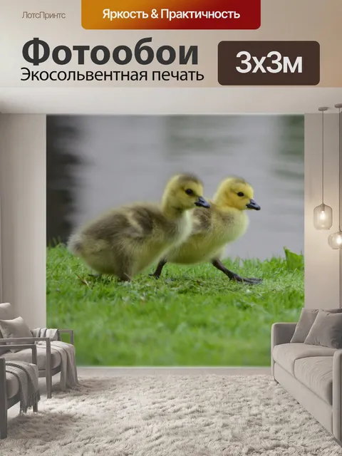 Фотообои Шаги вместе