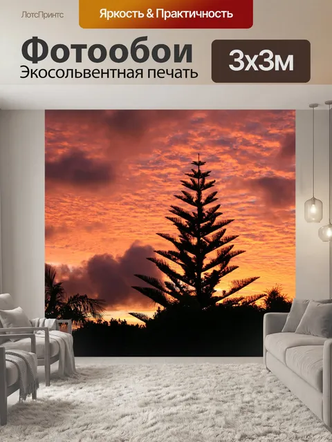 Фотообои Восход солнца