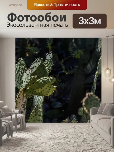 Фотообои Nopal Кактус