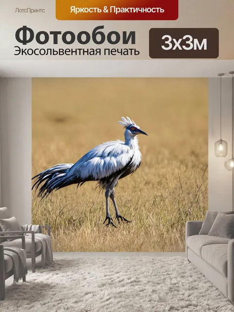 Фотообои секретарь, охотящийся на мелкую добычу в африканской саванне, с акцентом на высокую траву, выполненная в…