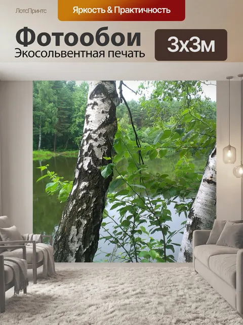 Фотообои Берёза