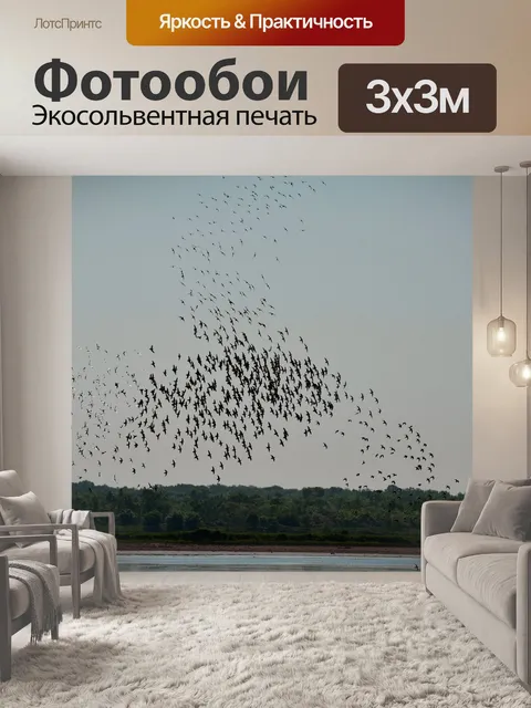 Фотообои Птицы