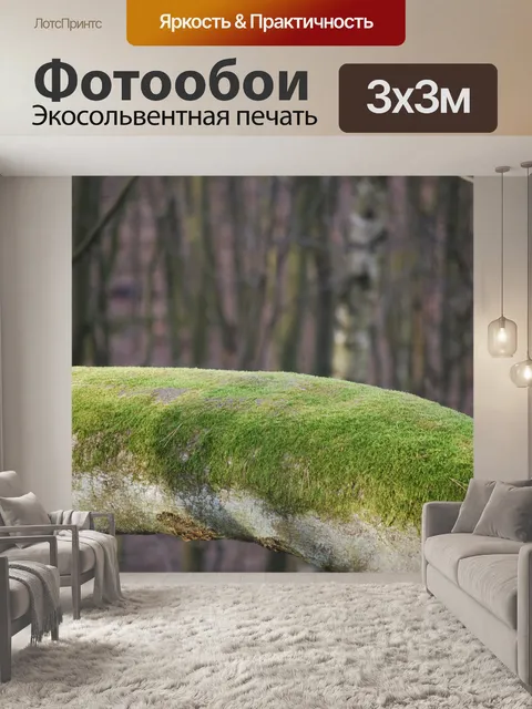 Фотообои Вниз