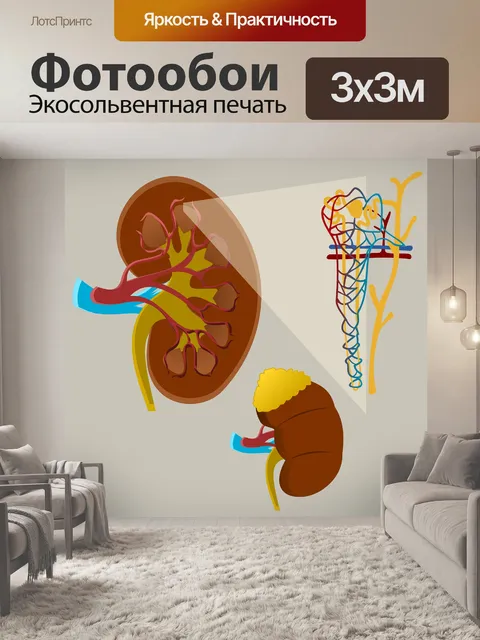 Фотообои Почки