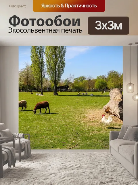 Фотообои Поля