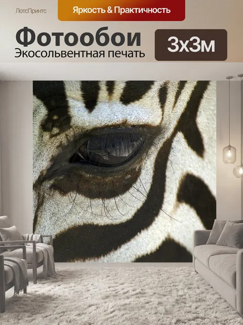 Фотообои Зебра