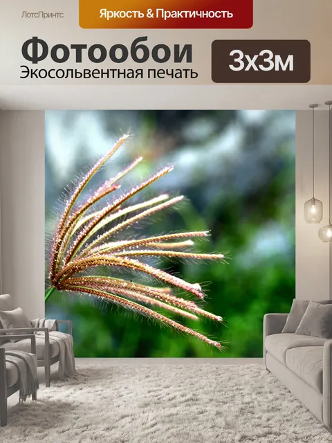 Фотообои Сухой дикий цветок