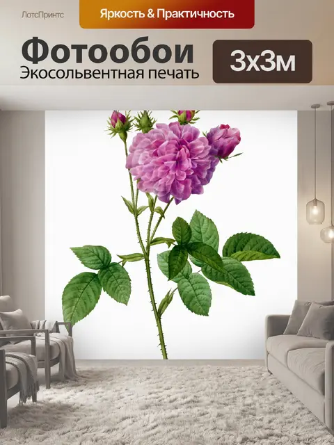 Фотообои Старинные цветы роза старые