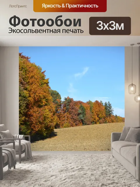 Фотообои Лес