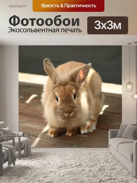 Фотообои Кролик