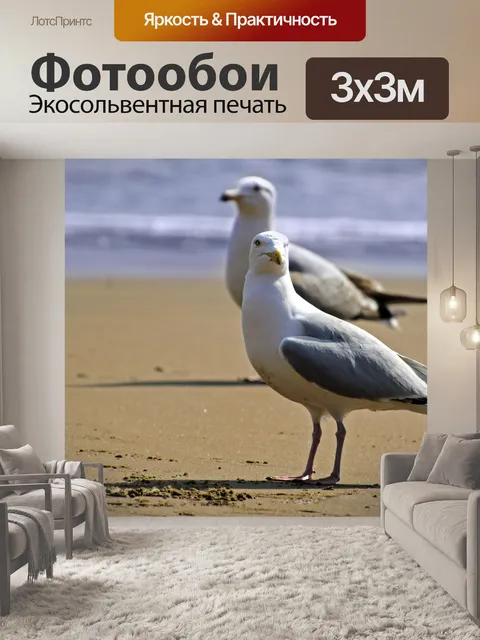 Фотообои Чайки на пляже