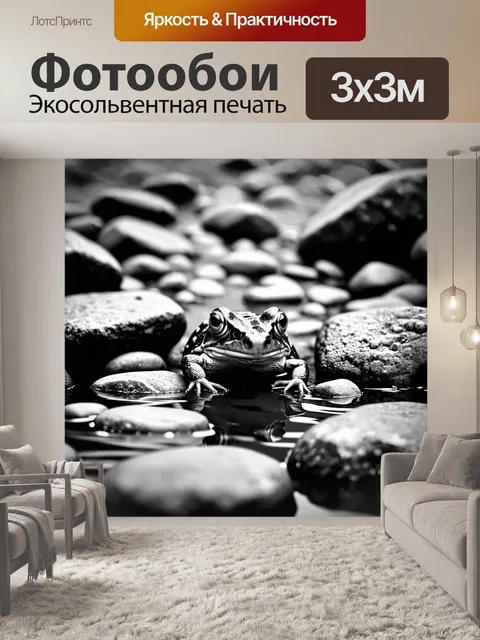 Фотообои жаба, скрывающаяся среди камней в ручье, с зрачками, как черные бездны, которые притягивают внимание