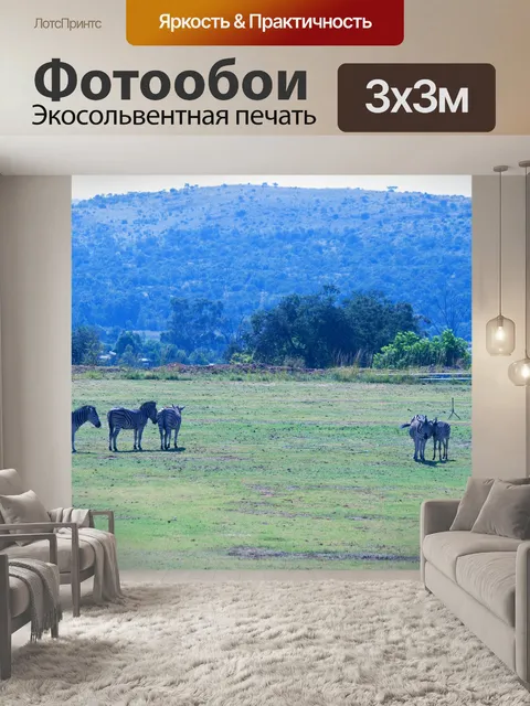 Фотообои группа зебры Берчелла