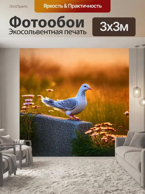 Фотообои голубь с белыми и серыми перьями