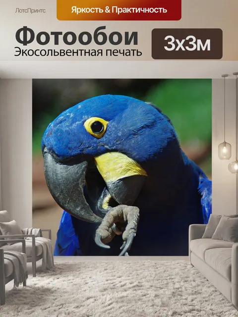 Фотообои Попугай