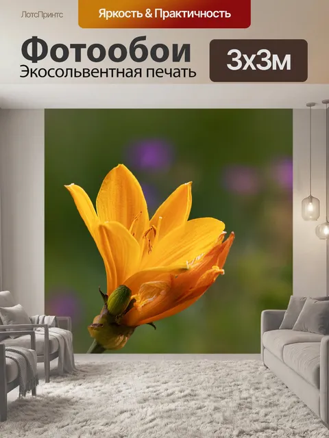 Фотообои Цветок