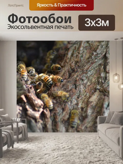 Фотообои Дикие пчелы