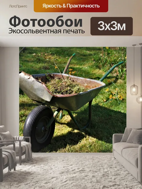 Фотообои Тачка