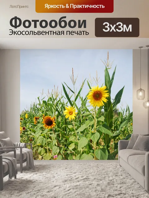 Фотообои Подсолнечник
