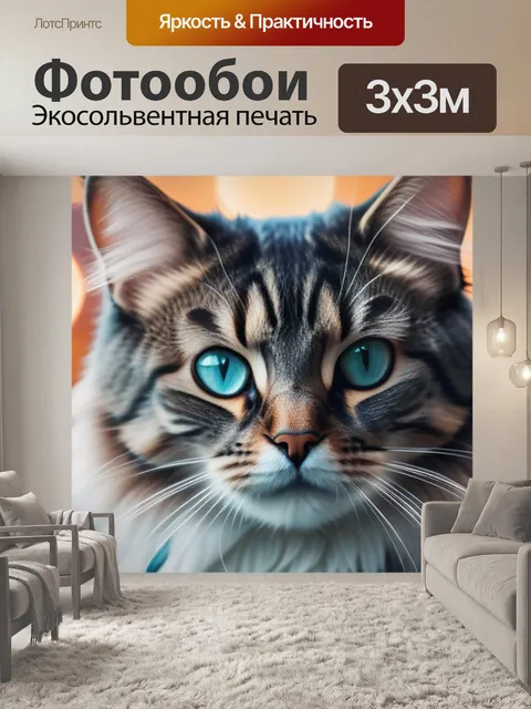 Фотообои с котиком смешной