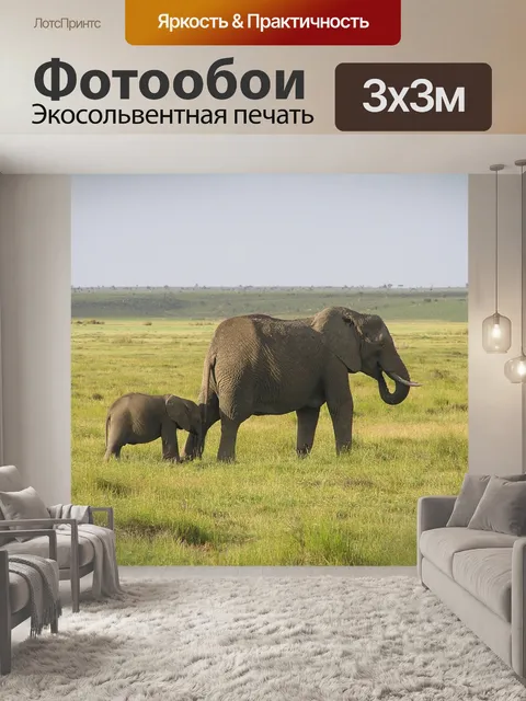 Фотообои Слон