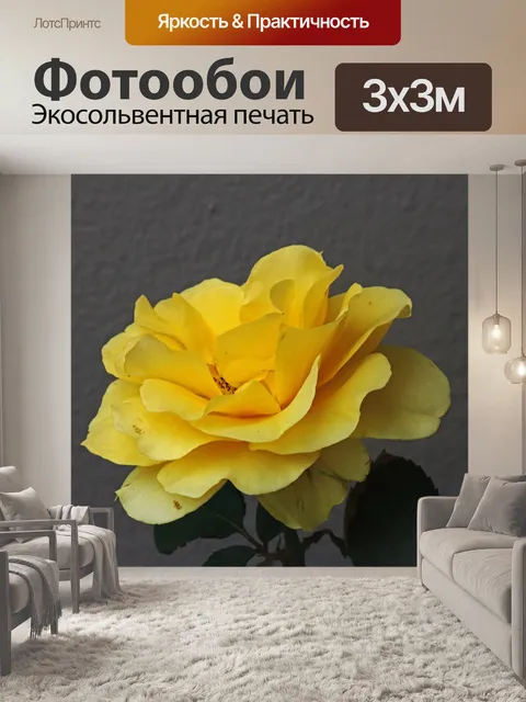 Фотообои открытая желтая роза с зелеными листьями