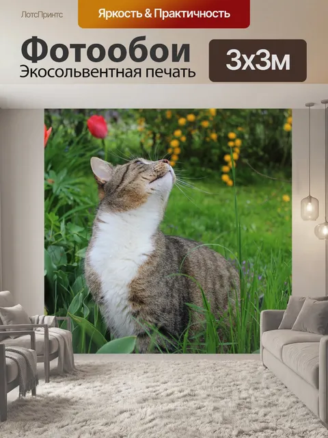 Фотообои Сады