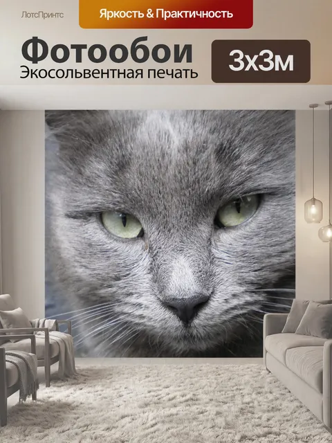 Фотообои Кошка