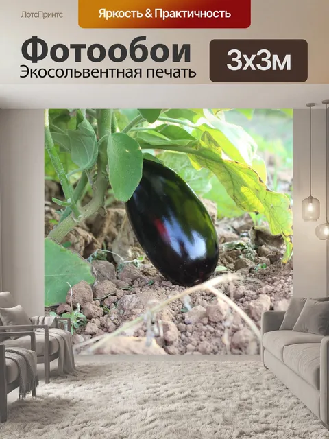 Фотообои Лист
