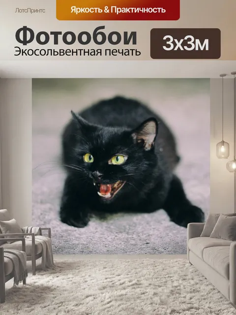Фотообои Кошка