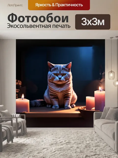 Фотообои британская короткошерстная кошка сидит в темной комнате