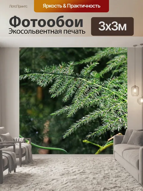 Фотообои лист папоротника спаржи