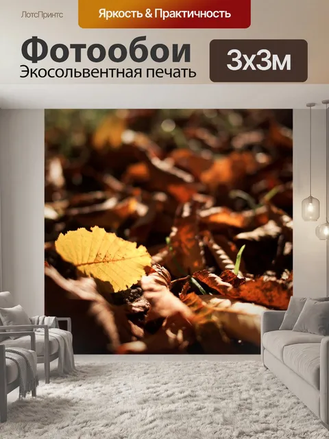 Фотообои Осень