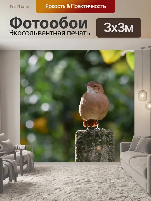 Фотообои Птичка