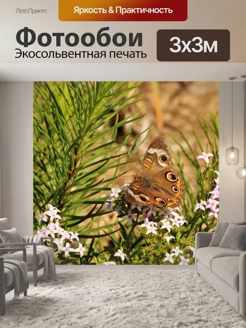 Фотообои Бакейская бабочка на полевых колокольчик