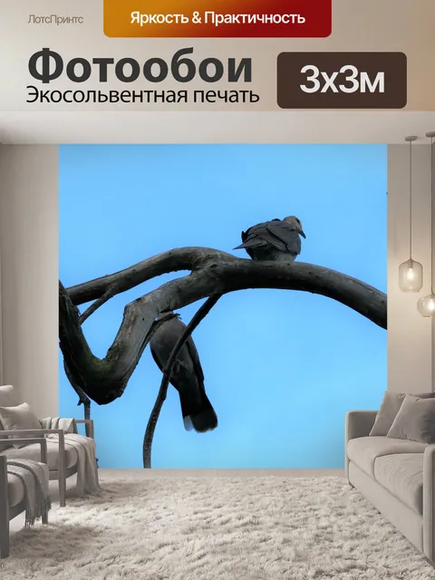 Фотообои две птицы на витой отрасли