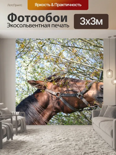 Фотообои Весна