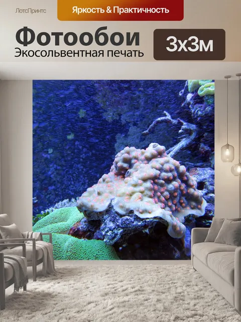 Фотообои Коралл