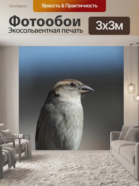 Фотообои Воробей