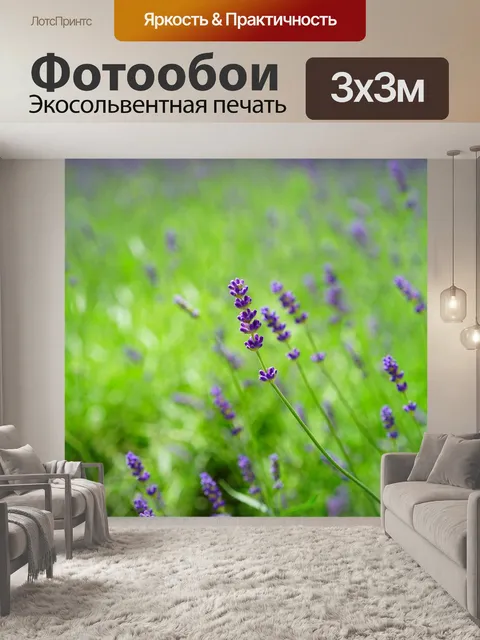 Фотообои Лаванда