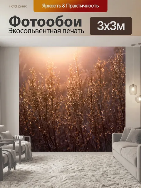 Фотообои Закат