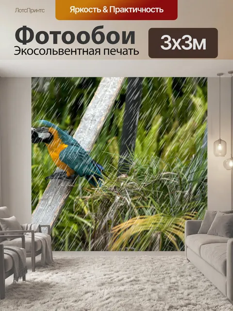 Фотообои Попугай под дождем
