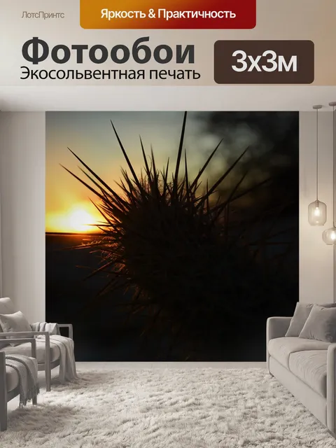 Фотообои К северо-востоку