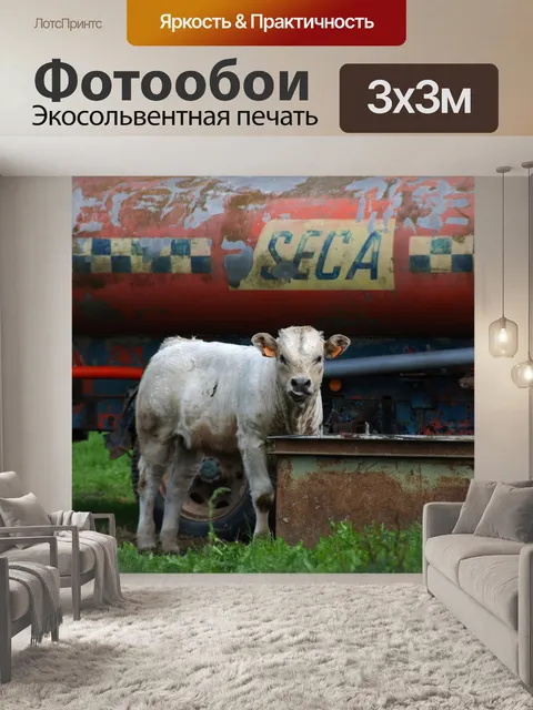 Фотообои Корова