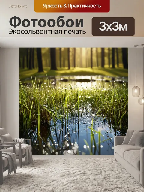Фотообои мягкие лучи утреннего солнца касаются воды в маленьком пруду, окруженном лесом